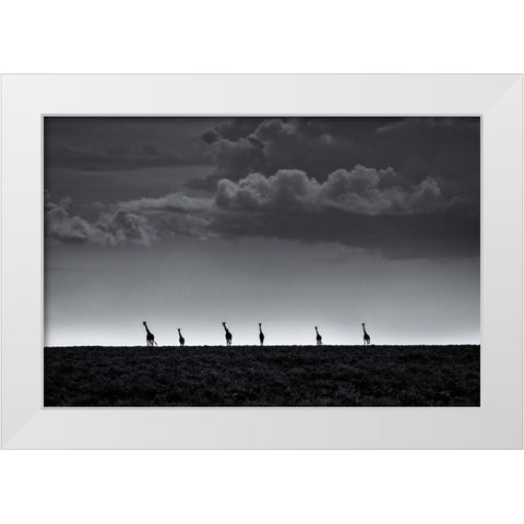 6 Giraffes White Modern Wood Framed Art Print by Metro, Greg