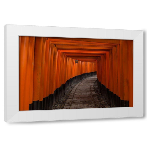 Untitled White Modern Wood Framed Art Print by Majewski, Pawel