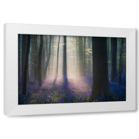 Velvet Light White Modern Wood Framed Art Print by Popan, Adrian