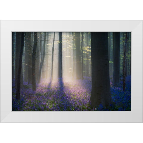 Velvet Light White Modern Wood Framed Art Print by Popan, Adrian