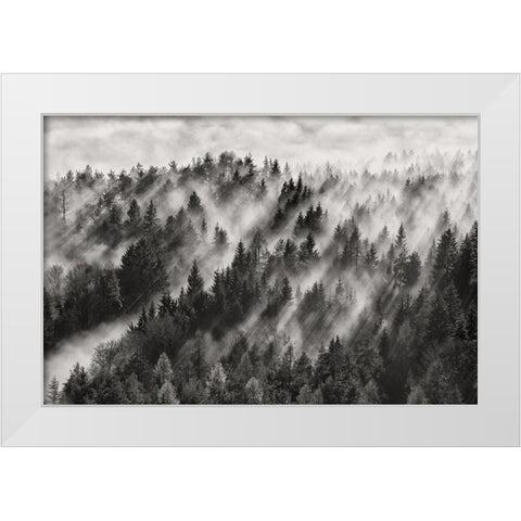 Sundance No.1 White Modern Wood Framed Art Print by Baloh, Davorin