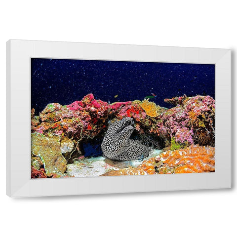 Under The Star White Modern Wood Framed Art Print by Marchegiani, Roberto