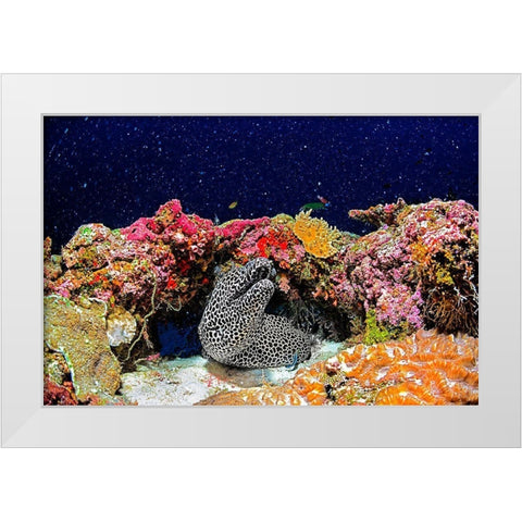 Under The Star White Modern Wood Framed Art Print by Marchegiani, Roberto