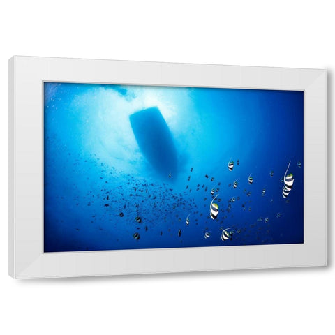 Storm White Modern Wood Framed Art Print by Marchegiani, Roberto