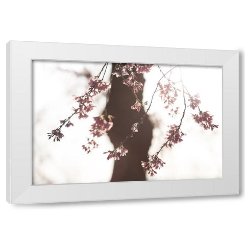 Sakura White Modern Wood Framed Art Print by Fujii, Tsuneya