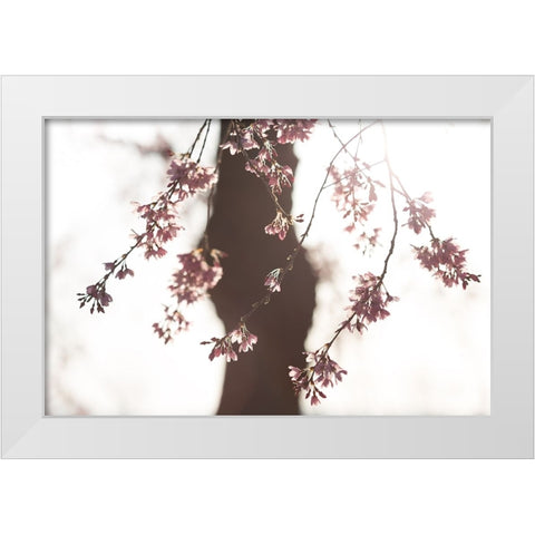 Sakura White Modern Wood Framed Art Print by Fujii, Tsuneya