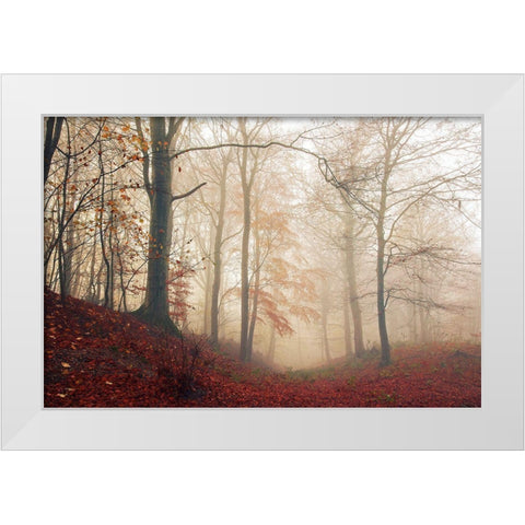 Waiting For The Deer. White Modern Wood Framed Art Print by Londal, Leif