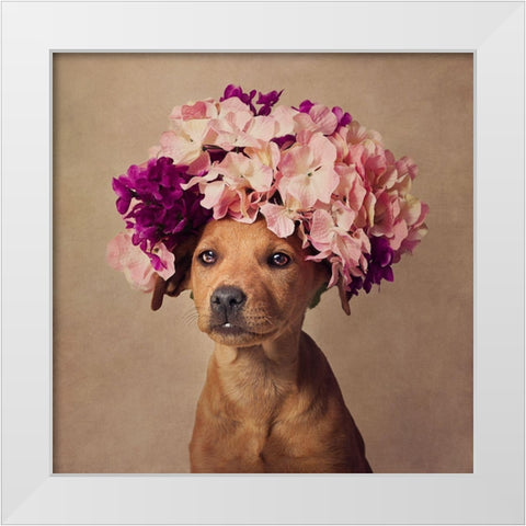 Lady White Modern Wood Framed Art Print by Swarek, Tammy