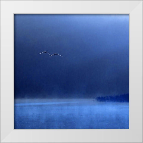 Swans White Modern Wood Framed Art Print by Michalowski, Marcin