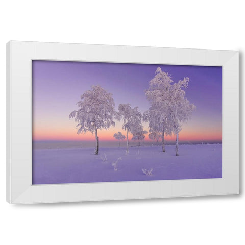 January Evening White Modern Wood Framed Art Print by Makhmud-Akhunov, Ruslan