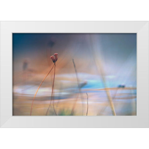 April Love White Modern Wood Framed Art Print by Marthinussen, Willy