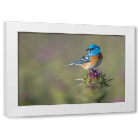 Blowin In The Wind White Modern Wood Framed Art Print by Barsh, Greg