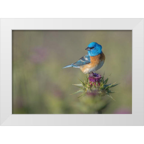 Blowin In The Wind White Modern Wood Framed Art Print by Barsh, Greg