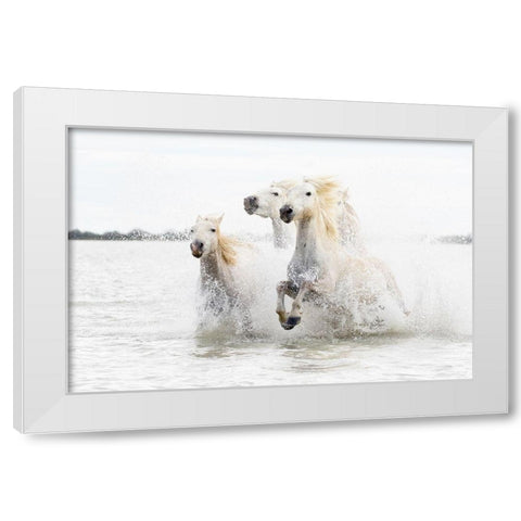 Horses  Hight Key White Modern Wood Framed Art Print by De Simone, Ciro