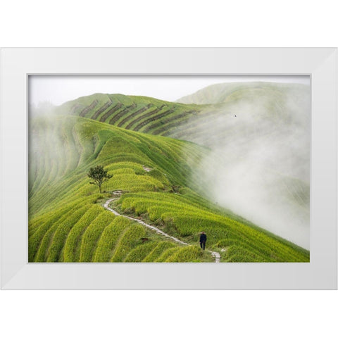 Pingan Rice Terraces White Modern Wood Framed Art Print by Pavlin, Miha