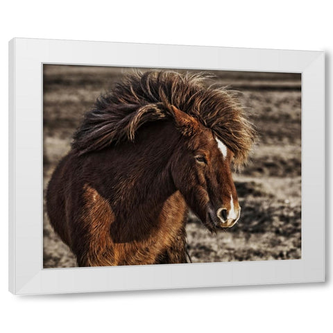 Windblown White Modern Wood Framed Art Print by Ingibergsson, Bragi