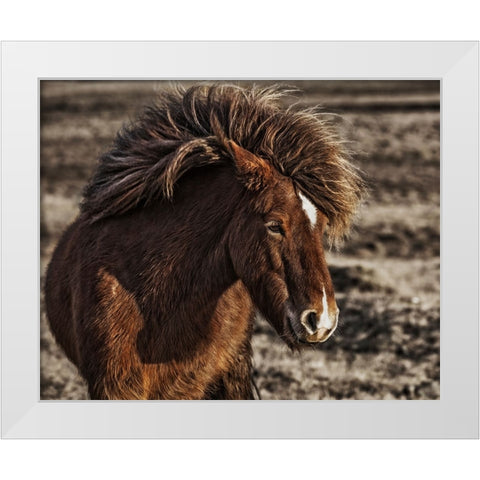 Windblown White Modern Wood Framed Art Print by Ingibergsson, Bragi