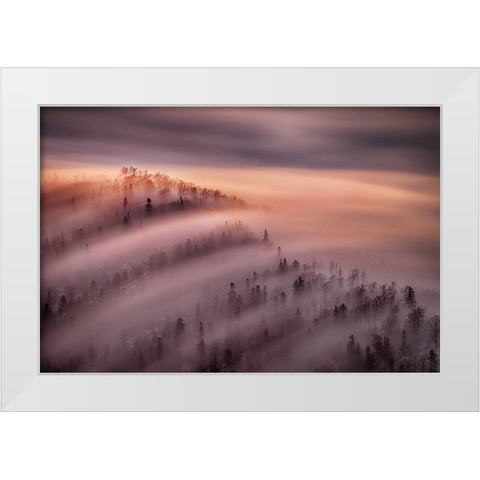 High Tide White Modern Wood Framed Art Print by Svoboda Mqep, Peter