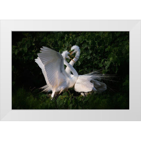 Love Is In The Air! White Modern Wood Framed Art Print by Chang, Phillip