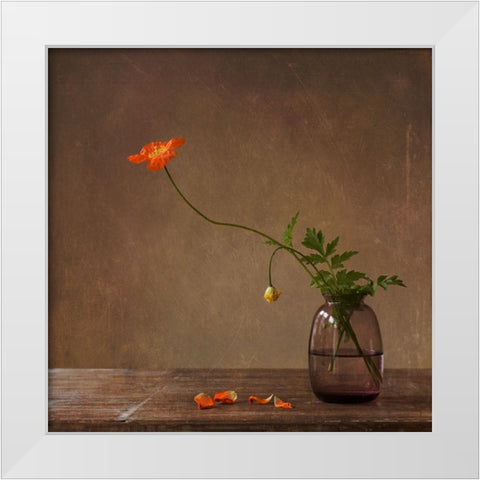 A Story With Orange Poppies White Modern Wood Framed Art Print by Bunkova, Galina
