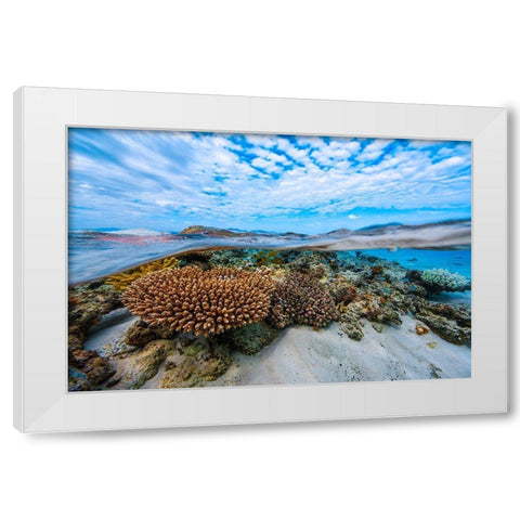 Into The Lagoon! White Modern Wood Framed Art Print by Gabriel, Barathieu