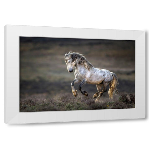 Wild Wild West White Modern Wood Framed Art Print by Verdon
