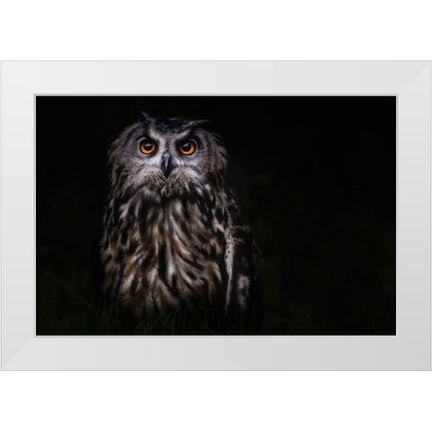 Prince Of The Night White Modern Wood Framed Art Print by Benezech, Martine