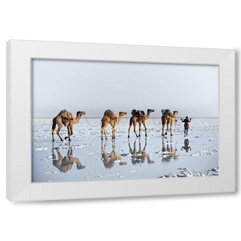 Reflections Of An Ancient Life White Modern Wood Framed Art Print by Cole, Trevor
