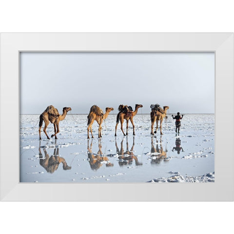 Reflections Of An Ancient Life White Modern Wood Framed Art Print by Cole, Trevor