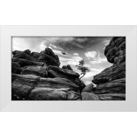 Brimham White Modern Wood Framed Art Print by Therion