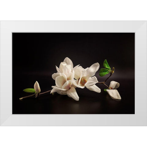 Magnolia White Modern Wood Framed Art Print by Tony08