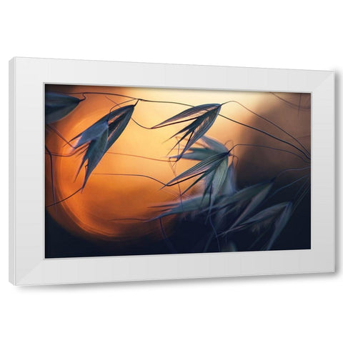 Sunset White Modern Wood Framed Art Print by Lazarov, Dimitar