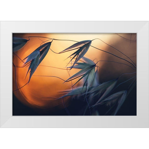 Sunset White Modern Wood Framed Art Print by Lazarov, Dimitar