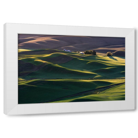 Dream Land #3 White Modern Wood Framed Art Print by Li, Austin