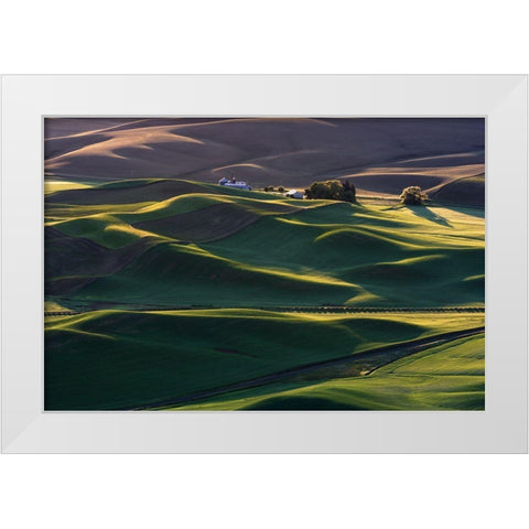 Dream Land #3 White Modern Wood Framed Art Print by Li, Austin