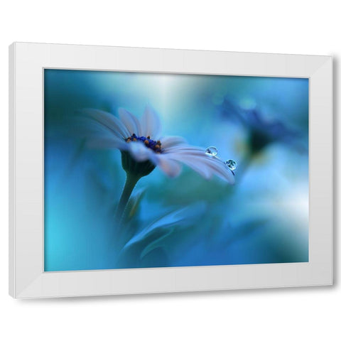 Beyond The Visible... White Modern Wood Framed Art Print by Nan, Juliana