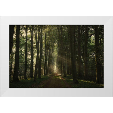 The Essential White Modern Wood Framed Art Print by Croce, Vincent