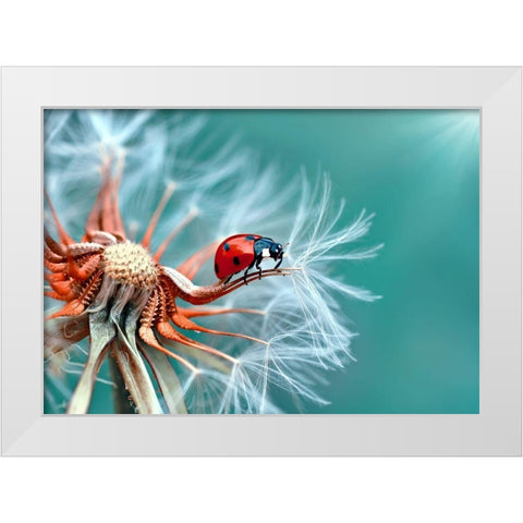 Freedoom White Modern Wood Framed Art Print by Ozturk, Mustafa