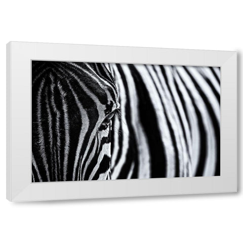 The Look Of Nature White Modern Wood Framed Art Print by Tagliarino, Marco