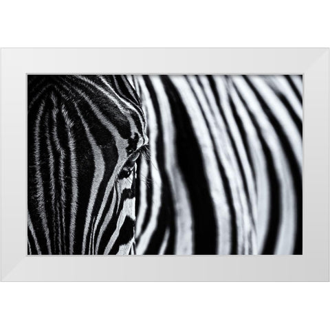 The Look Of Nature White Modern Wood Framed Art Print by Tagliarino, Marco