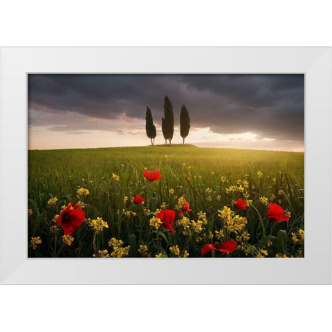 Blooming Tuscany White Modern Wood Framed Art Print by Rericha, Daniel