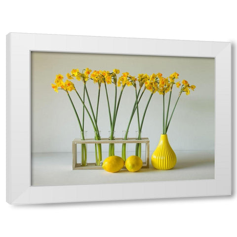 The Freshness Of Spring White Modern Wood Framed Art Print by Hammer, Jacqueline