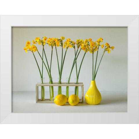 The Freshness Of Spring White Modern Wood Framed Art Print by Hammer, Jacqueline