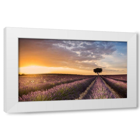 Destination Lavender White Modern Wood Framed Art Print by Ros, Fran