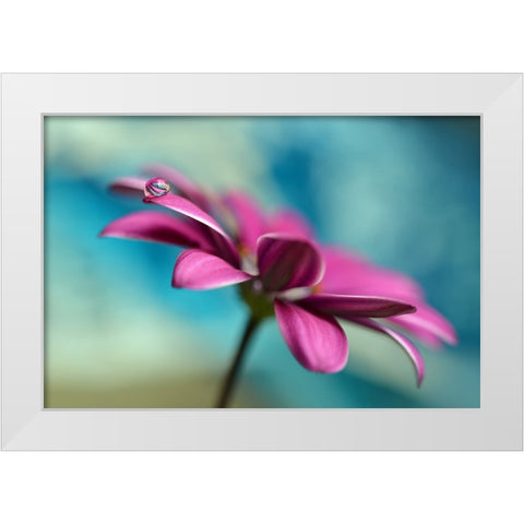 Pattern Drop White Modern Wood Framed Art Print by Westum, Heidi