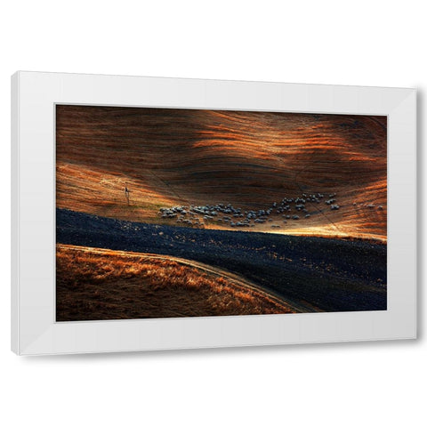 Il Gregge 3 White Modern Wood Framed Art Print by Della Latta, Massimo
