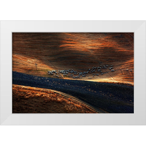 Il Gregge 3 White Modern Wood Framed Art Print by Della Latta, Massimo
