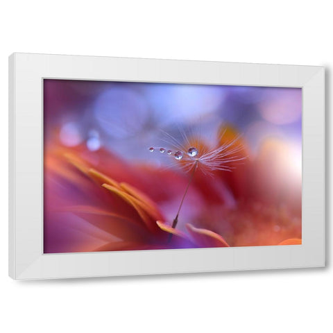 Dance In The Light... White Modern Wood Framed Art Print by Nan, Juliana