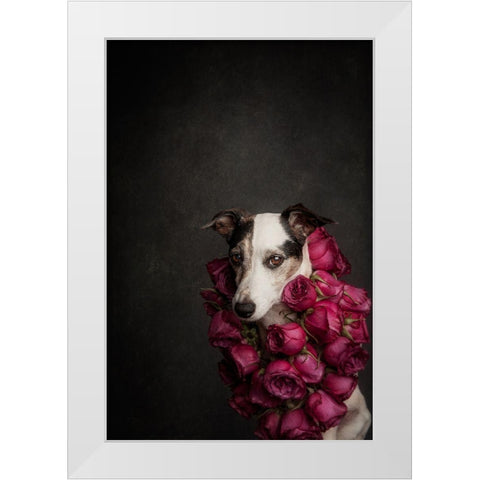 Rose Queen Ii White Modern Wood Framed Art Print by Willers, Heike