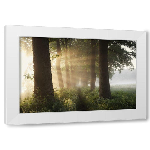 First Day Of Summer White Modern Wood Framed Art Print by Croce, Vincent